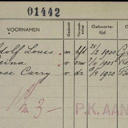 De gezinskaart van familie van Dam 